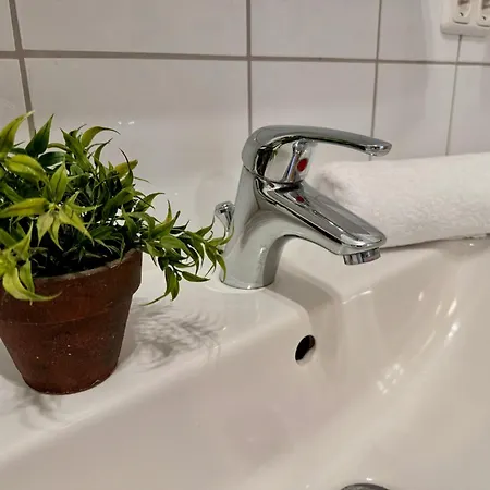 Ela's Hof - Trollblume *